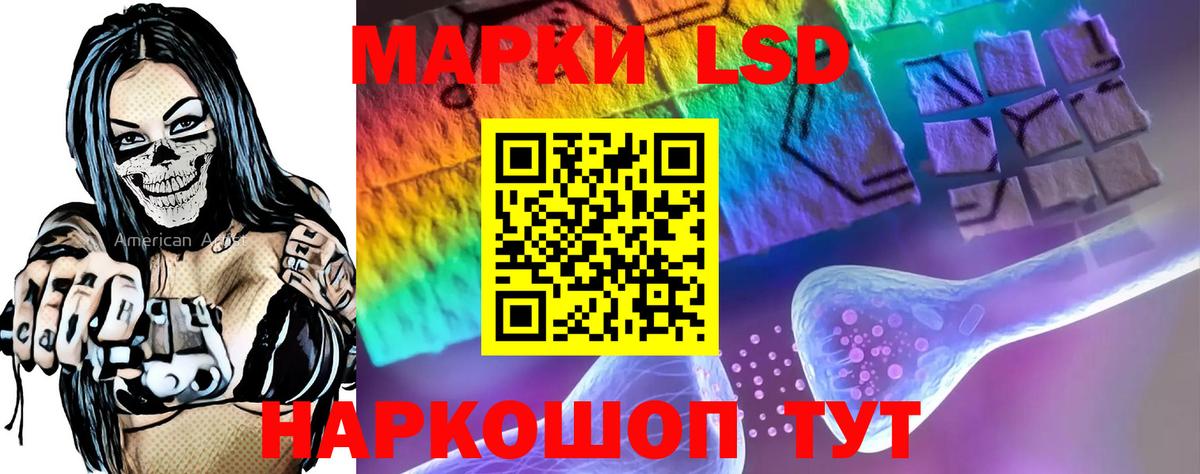 Псилоцибиновые грибы Дзержинский